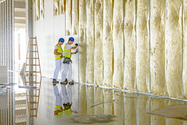 Best Attic Insulation Installation  in Pueblo, CO